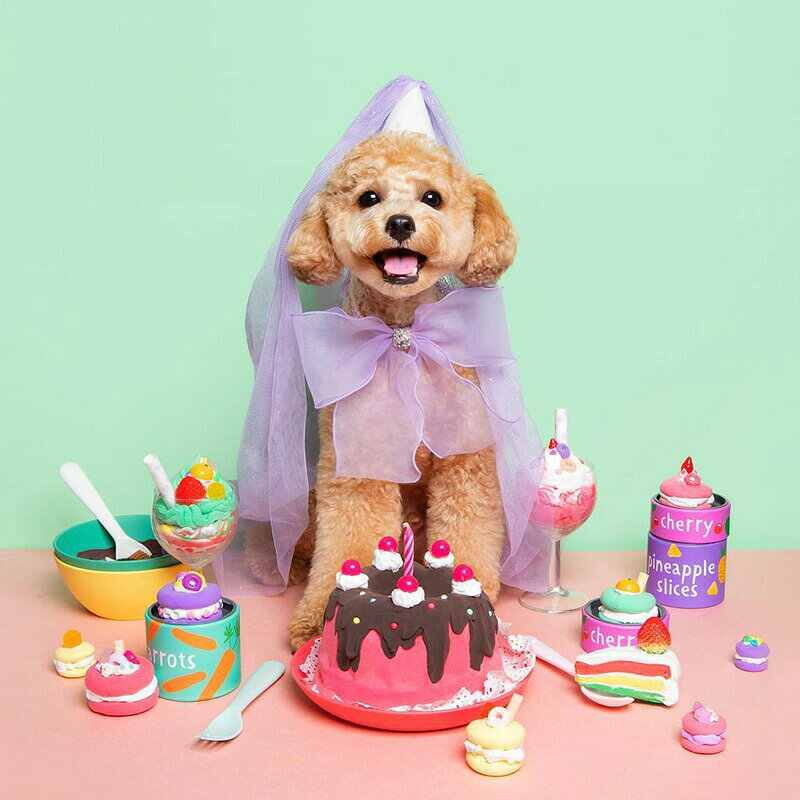 【全2色】犬用 猫用 誕生日 ウェディングドレス 小型犬 中型犬 パーディーセット ...