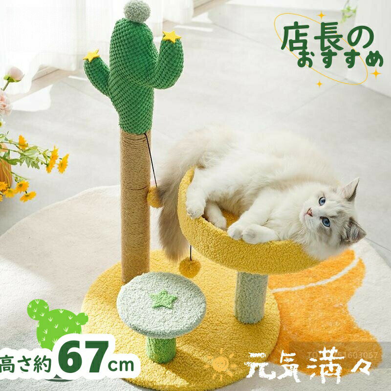 乐天商城 - キャットタワー 据え置き型 猫用爪とぎポール お洒落 爪とぎタワー サボテン型 ネコポール 麻縄 手巻き 可愛い つめとぎ 組立簡単 おもちゃ 麻紐 爪とぎ付き おしゃれ 省スペース