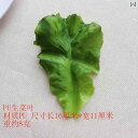 食品 サンプル リアル 見本 撮影 小道具 ディスプレイ 装飾品 フェイク 模擬 野菜 プラ 教育 魚 肉 海老