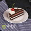 食品 サンプル リアル 洋菓子店 レストラン 見本 撮影 小道具 ディスプレイ 装飾品 フェイク 模擬 カット ケーキ ムース スイーツ デザート
