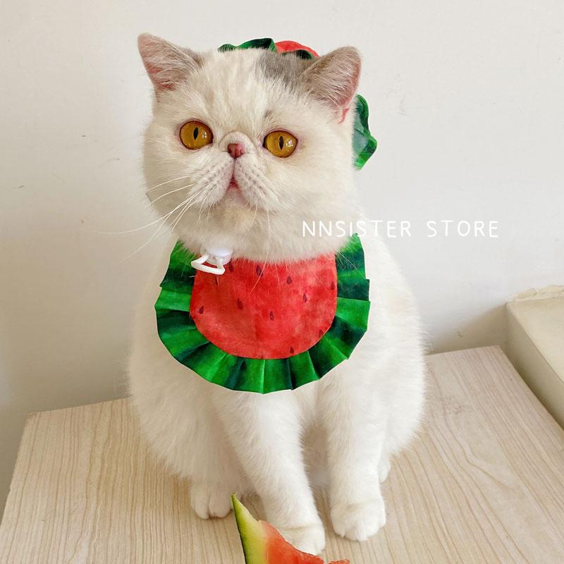 ペット用品 洋服 ワンちゃん 猫ちゃん おしゃれファッション メロン 食べる スイカ 猫 帽子 タオル 犬 よだれかけ ネック スカーフ 写真 小道具 ペット アクセサリー