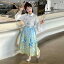 民族衣装 かわいい 子供服 キッズ 女の子 漢服 チャイナ風 パフォーマンス ファッション オールシーズン エスニック ロング スカート