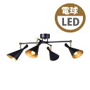 送料無料 ART WORK STUDIO アートワークスタジオ Genesis X-ceiling lamp ジェネシスエックスシーリングランプ LED電球 AW-0567E