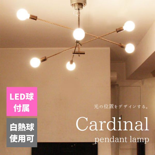 ̵ LED° ܾ  ڥȥ饤 ǥå DI CLASSE ڥȥ Pendant Lamp LEDǥʥ LED Cardinal LED ƥ֥饦 LP3125BR