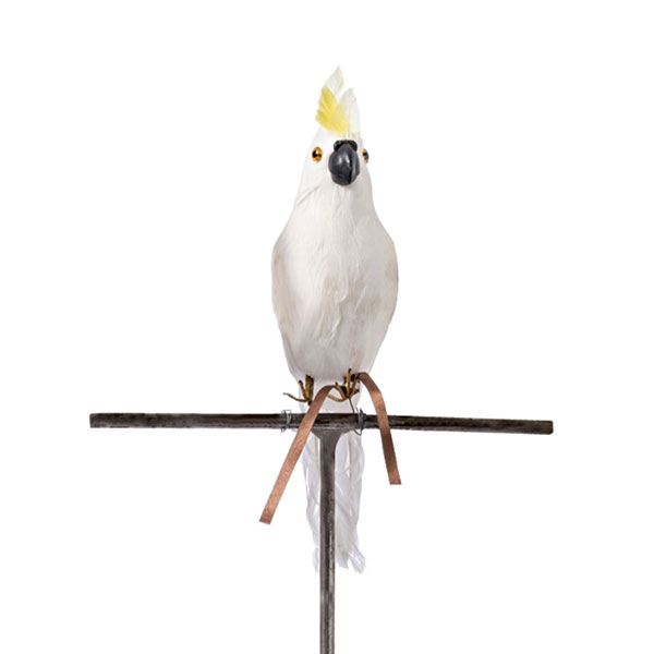 置物（ハロウィン向き） あす楽 バードオブジェ オウム Sサイズ 正面向き 鳥 リアル 本物 飾り物 ハロウィン 剥製みたい 置物 プエブコ PUEBCO ARTIFICIAL BIRDSParrot 101071