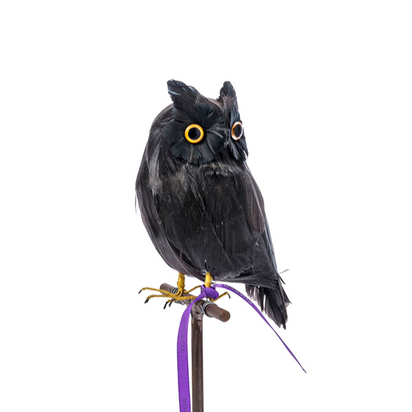 楽天citron glacesあす楽 バードオブジェ Black Owl黒フクロウSサイズ横向きプエブコ PUEBCO ARTIFICIAL BIRDS /122076 鳥 リアル 本物 飾り物 ハロウィン 剥製みたい 置物