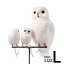 ֤ ե L Сɥ֥ Ļ ꥢ ʪ ʪ ϥ ߤ ʪ White Owl ץ֥ PUEBCO ARTIFICIAL BIRDS 111070פ򸫤