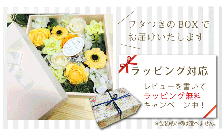 �Ф���Τ��� ����� siaflora �����ե��������3���� [�ܥå��������(��)] ������ �����ץե� ����ܥ�ɥե롼�� �ץꥶ���֥ɥե� ����� ������ ����ˤ� �ץ쥼��� �ե�������| �� ���ե� �Х��ե�