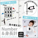 今だけ割引 ウォールステッカー 身長計・投球練習 ステッカーセット シール 剥がせる壁紙 壁 ガラス お誕生日ボール投げ遊び 知育フォトプロップス数字年齢 45...