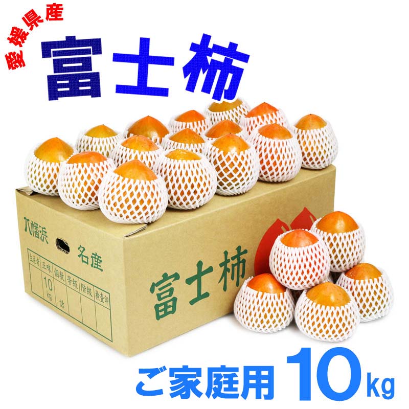 愛媛県産 富士柿 ご家庭用 10kg 30～36玉 果物 フルーツ お取り寄せ 産地応援