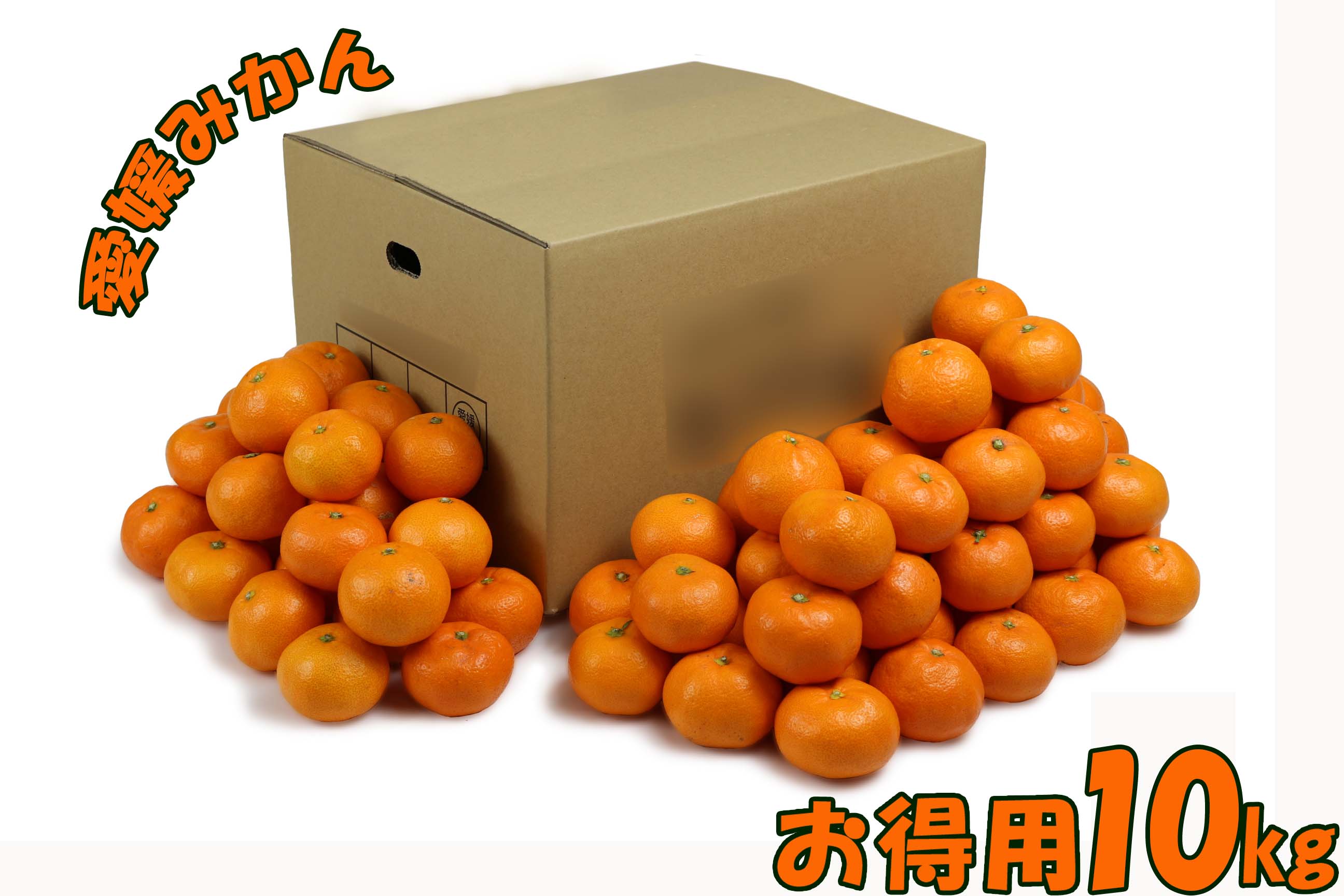 愛媛県産 温州みかん 愛媛みかん ご家庭用 10kg 100～120玉 S/M/Lサイズ 果物 フルーツ お取り寄せ 産地応援 お得用 ご家庭用 ご自宅用