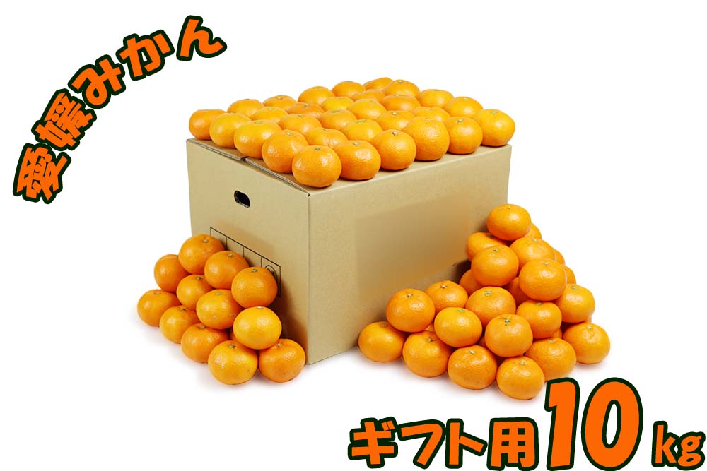 愛媛県産 温州みかん 愛媛みかん 贈り物用 10kg 90～100玉 果物 フルーツ お取り寄せ 産地応援 ギフト..