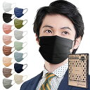アイリスオーヤマ マスク 不織布 プリーツ 小顔 血色 チーク カラーマスク 使い捨て おしゃれ 耳が痛くならない APN-60LBK ブラック