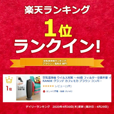 あす楽 空気清浄機 ウイルス対策 〜40畳 フィルター交換不要 イオニックブリーズGRANDE グランデ カフェモカ ブラウン コンパクト スリム 空気清浄器 消臭 脱臭 除菌 タバコ 花粉 おすすめ ペット おしゃれ 静音 静か 小型空気清浄機 寝室 大型 大容量 タワー型 送料無料