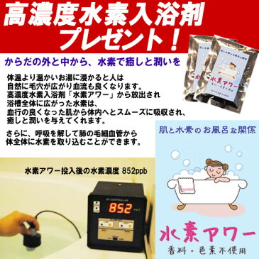 【豪華3点プレゼント】水素水生成器 フラックス オーロラ・プラス 高濃度 大容量 水素水 生成 水素水ボトル 水素水サーバー 水素 ボトル ピッチャー 水 美容 健康 簡単 オーロラプラス オーロラ+ オーロラ＋【送料無料】