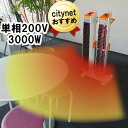 直送 法人様宛限定 スイデン ヒートスポット SEH-30A-2 単相200V 3000W スポット暖房 ツインタイプ 電気ストーブ 業務用 スポットヒーター 暖房器具 スポット 暖房 暖房機 ヒーター ストーブ 業務用ヒーター 業務用ストーブ 大型 広範囲 倉庫 大容量 暖かい 強力 ホワイト