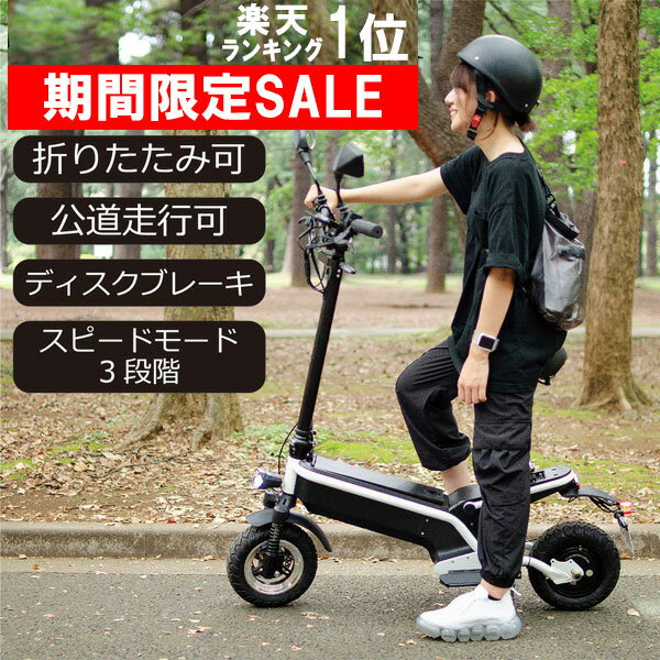 公道走行可能 折り畳み 電動スクーター EV Scooter E1