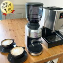 gaggia classic 対応