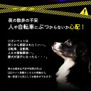 [Civil Life] 犬 光る首輪 点灯 首輪 光る 犬 首輪 光る led 首輪 光る 光る 首輪 led USB充電式 LED光る首輪 LEDライト首輪 散歩 防水 猫 ワンちゃんの安全対策 サイズ調整可 発光首輪 事故防止 ペット用 小型犬/中型犬 レインボー 2