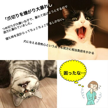 【爪切り+ネコメット オリジナルセット】廣田工具製作所 ネイルトリマーZan ピコックタイプ & ネコメット 目隠し 爪きり 補助用マスク 猫マスク 猫 マスク 爪切り補助具 口輪 噛みつき防止 ネコ 猫 キャット ドッグ ペット用品・ペットグッズ お手入れ用品