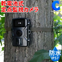 デルタ 現場監督 単3電池式 屋外赤外線カメラ 人感センサー IP54K防水 フルHD D-2131 【お取寄せ】