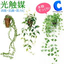 ミニ観葉植物 [ あす楽 ][ 送料無料 ] フェイクグリーン 光触媒 観葉植物 インテリア 吊り下げ 吊るし系 ハンギング 造花 ミニグリーン 壁掛け ハンギングプランツ 鉢 ポット おしゃれ かわいい 国内加工 リアル 装飾品 飾り付け 店舗 天井 全3種 アイビー クレチマス ビーンパイン