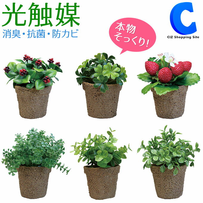 ミニ観葉植物 [ あす楽 ][ 送料無料 ] フェイクグリーン 卓上 造花 飾り 装飾品 観葉植物 ディスプレイ 光触媒 おしゃれ かわいい インテリアグリーン ミニグリーン ミニフラワー 国内加工 リアル 店舗 カフェ 雑貨店 ギフト プレゼント 全6種 1000円 ポッキリ