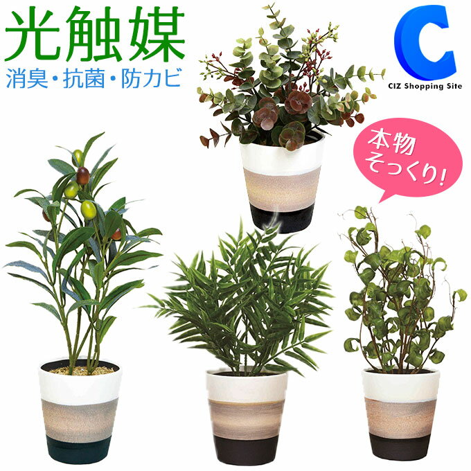 [ あす楽 ][ 送料無料 ] フェイクグリーン 造花 光触媒 卓上 観葉植物 リアル 装飾品 飾り インテリアグリーン ポット おしゃれ かわいい 国内加工 中型鉢 店舗 ディスプレイ ギフト プレゼント 装飾 全4種 フォールユーカリ ベンジャミンバロック パームヤシ オリーブ