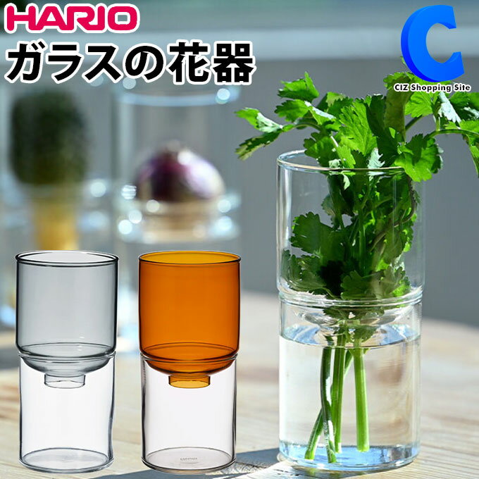 [ 18ꥯݥ ] ϥꥪ   ̺  庬 Ǯ饹 Ǯ  ƥꥢ HARIO 饹βִ å ٥  ӥ   200ml 3 ꥢ Ʃ֥å С