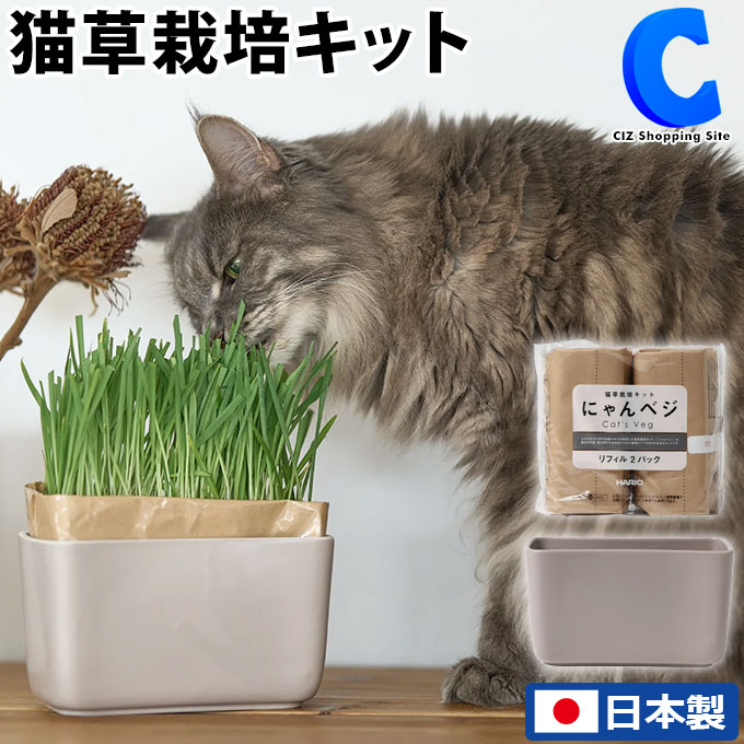 [ 18日限定クーポン ] ハリオ 猫草セット にゃんベジ 猫草 栽培ポット 日本製 猫 ネコ 草 毛玉取り ヘアボールコントロール 栄養補給 毛玉ケア エコ 新鮮 草 簡単 国産 毛玉を吐き出す 家庭菜園 お家で ペット用品 ペットグッズ グレージュ INK HARIO IK-CVP-GG