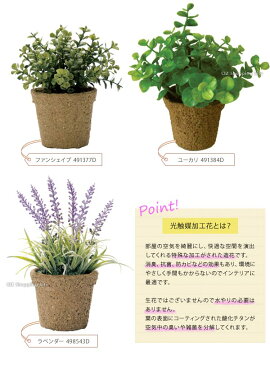 フェイクグリーン ミニ 光触媒 観葉植物 インテリア 造花 国内加工 リアル ミニグリーン ラズベリー ストロベリー ユーカリ ラベンダー 卓上 ペーパーポット 鉢 おしゃれ かわいい 飾り フェイクフラワー ミニポット 装飾品 飾り付け 店舗 小鉢