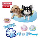 ペットルーツ ひえひえ氷ベッド 2way うさぎ くま