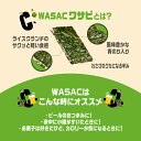 【数量限定アウトレット！在庫なくなり次第終了】 【公式】bibigo ビビゴ WASACサンド(ワサビ) ビビゴ おつまみ お菓子 ビール つまみ スナック 低カロリー