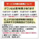 【往復送料無料】宅配クリーニング デラックスクリーニング10点保管付き【クリー...