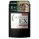 ヘアケア サプリ ノコギリヤシ L-リジン 昆布 亜鉛 グントアップ GUNTO UP EX 90粒 30日分