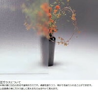 玄関ドアリクシルクリエラR片開きドア19型半外付型鎌付箱錠仕様特注寸法W:818mmH:1,717~2,017mm