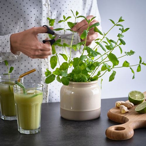 IKEA イケア ふた付き容器 ベージュ 1L m90596232 BRUGDHAJ ブルグドハイ キッチン用品 食器 調理器具 保存容器 調味料入れ キャニスター おしゃれ シンプル 北欧 かわいい