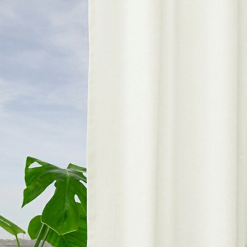 IKEA イケア 遮像・採光カーテン 1組 ヘディングテープ付き オフホワイト 140x250cm m70589874 SANELA サネーラ インテリア 寝具 収納 ブラインド ドレープカーテン おしゃれ シンプル 北欧 かわいい