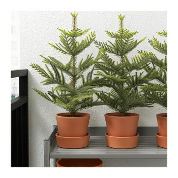 IKEA(イケア) FEJKA フェイカ 人工観葉植物 室内/屋外用 ナンヨウスギ クリスマスツリー z90394861