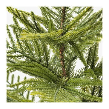 IKEA(イケア) FEJKA フェイカ 人工観葉植物 室内/屋外用 ナンヨウスギ クリスマスツリー z90394861
