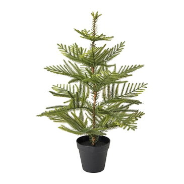 IKEA(イケア) FEJKA フェイカ 人工観葉植物 室内/屋外用 ナンヨウスギ クリスマスツリー z90394861