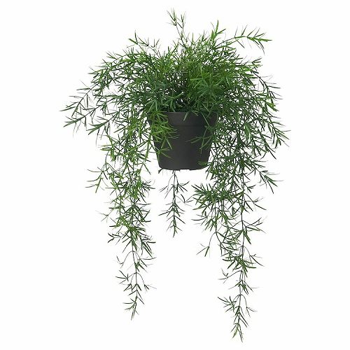 【あす楽】IKEA イケア 人工観葉植物 室内 屋外用 アスパラガス つり下げ型 12cm m80571680 FEJKA フェイカ 花 ガーデン DIY 花 観葉植物 造花 人工観葉植物 人工観葉植物 おしゃれ シンプル 北欧 かわいい