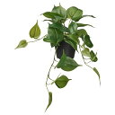 IKEA イケア 人工観葉植物 m50578070 FEJKA フェイカ 花 ガーデン 観葉植物 造花 フェイクグリーン おしゃれ シンプル 北欧 かわいい 雑...