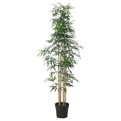 IKEA イケア 人工観葉植物 室内 屋外用 竹 23cm m20568893 FEJKA フェイカ アウトドア 雑貨 花 ガーデン DIY 観葉植物 造花 人工観葉植物 フェイクグリーン おしゃれ シンプル 北欧 かわいいのサムネイル