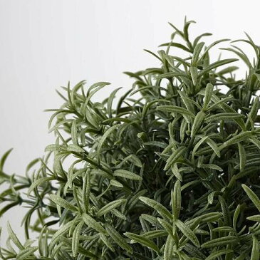 IKEA(イケア) FEJKA人工観葉植物 ローズマリー z40382115