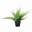 IKEA イケア 人工観葉植物 室内 屋外用 アビス 9x34cm m10433946 FEJKA フェイカ 花 ガーデン 観葉植物 造花 フェイクグリーン お...
