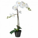 IKEA イケア 人工観葉植物 4号 Orchid ホワイト 12x58cm m20294940 FEJKA フェイカ 花 ガーデン 観葉植物 造花 フェイクグ...