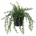 【あす楽】IKEA イケア 人工観葉植物 室内 屋外用 グリーンネックレス 9x20cm m40395325 FEJKA フェイカ 花 ガーデン 観葉植物 造花 フェイクグリーン おしゃれ シンプル 北欧 かわいい