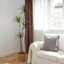 【あす楽】IKEA イケア 人工観葉植物 室内 屋外用 ドラセナ 23cm m20548635 FEJKA フェイカ 花 ガーデン 観葉植物 造花 フェイクグリーン おしゃれ シンプル 北欧 かわいい 3
