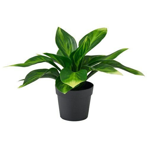 Rakuten - IKEA イケア 人工観葉植物 室内/屋外用/ギボウシ 9cm m00610746 FEJKA フェイカ